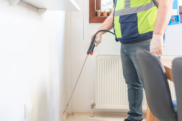 Best Exterminator Services  in Calais, ME
